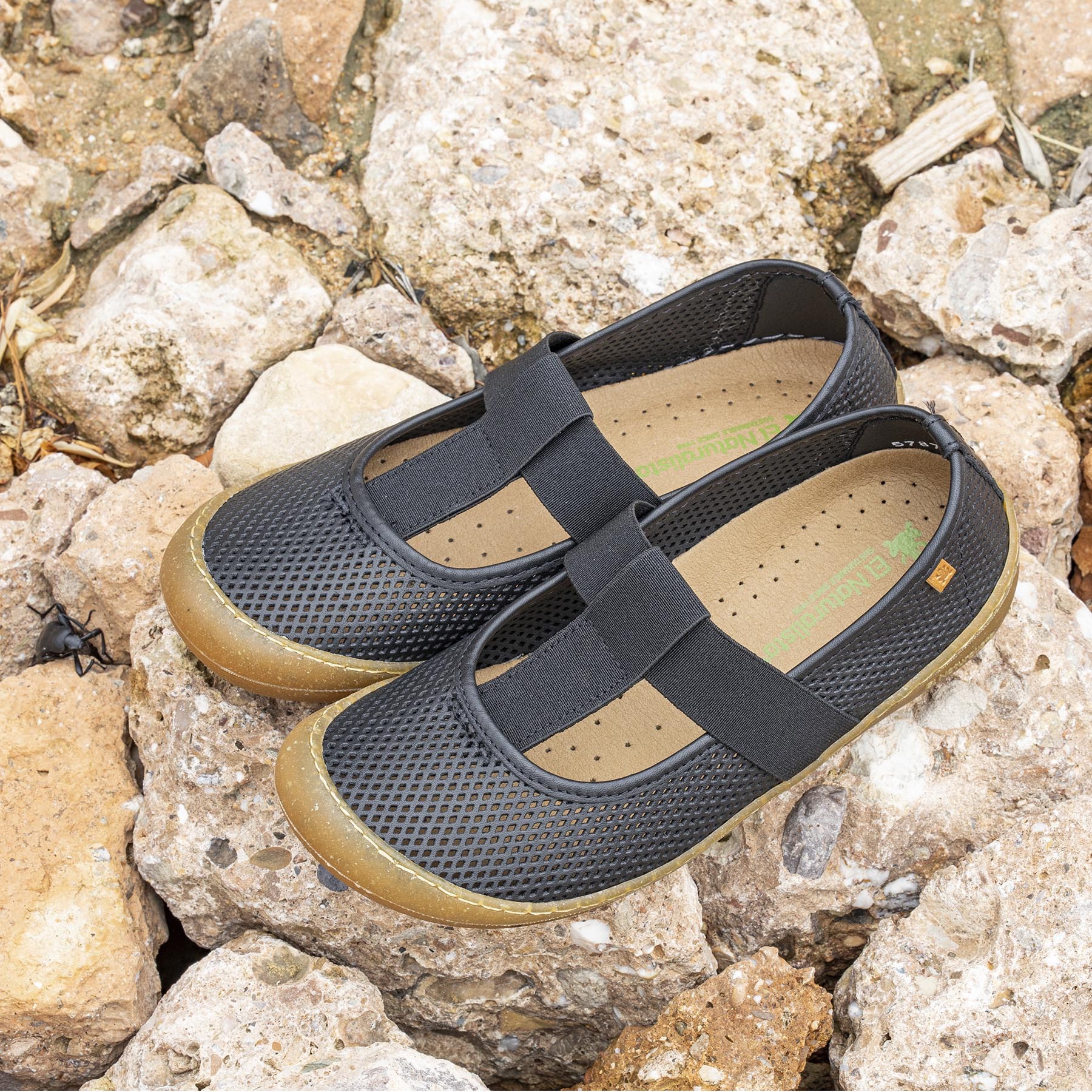 Zapatos N5787R NAPPA BLACK/ PAWIKAN color Black