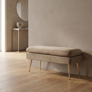 Panca Contenitore Imbottita in Effetto Velluto con Ampio Vano Portaoggetti, Seduta Confortevole e Gambe in Acciaio, Design Moderno per Camera da Letto, Ingresso e Soggiorno