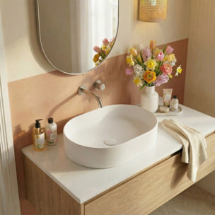 Vasque à poser ovale 50 x 36,5 x 12 cm sans trop-plein blanc mat PixL (CEPX5037WM)