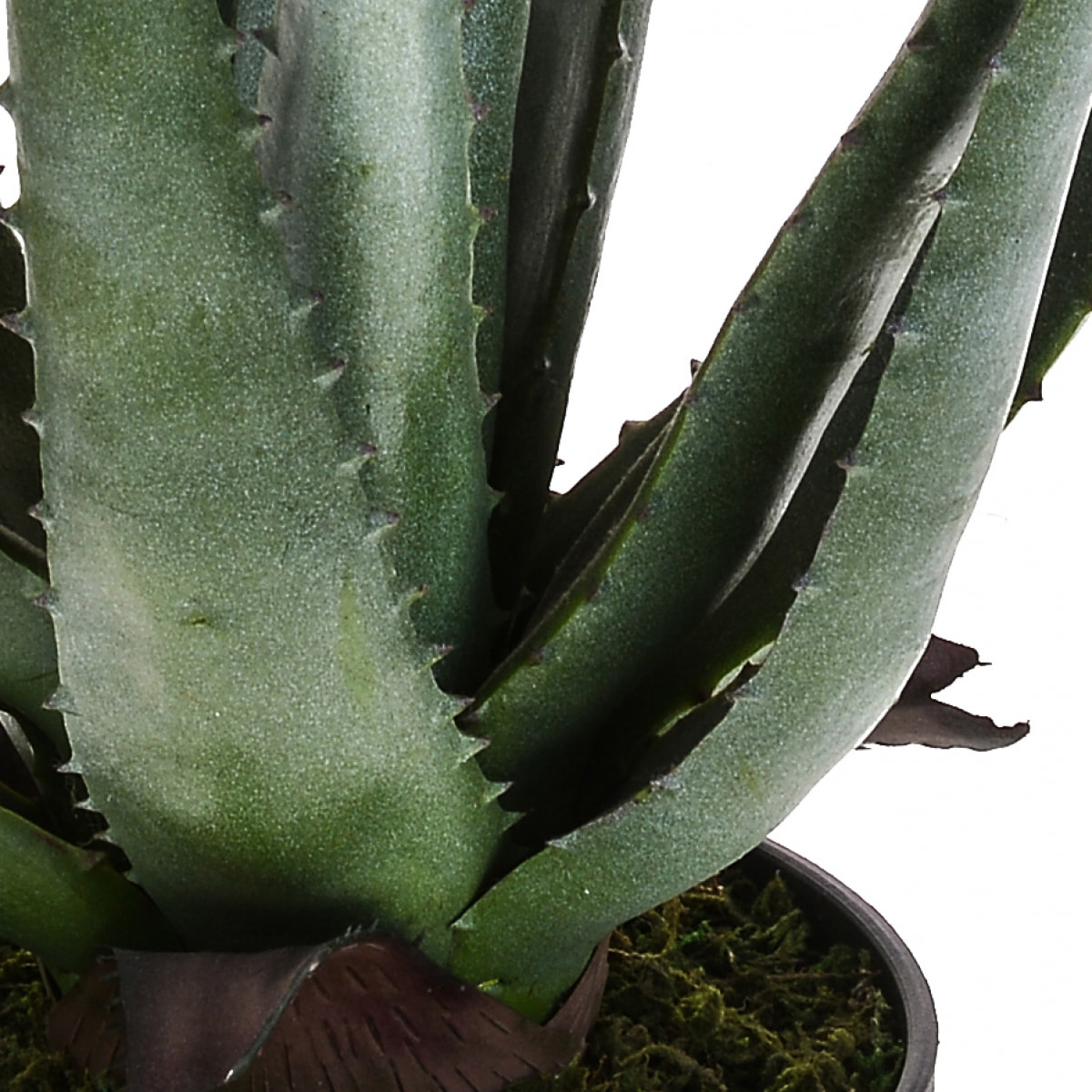 Aloe con vaso, 17 foglie - Pezzi 1 - 34X50X30 - Colore: Verde - Bianchi Dino - Piante Artificiali