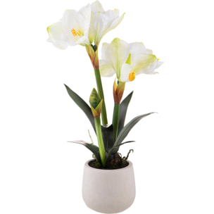 Amaryllis Con Vaso. Altezza 64 Cm - Pezzi 1 - 36X64X25cm - Colore: Bianco - Bianchi Dino - Piante Artificiali