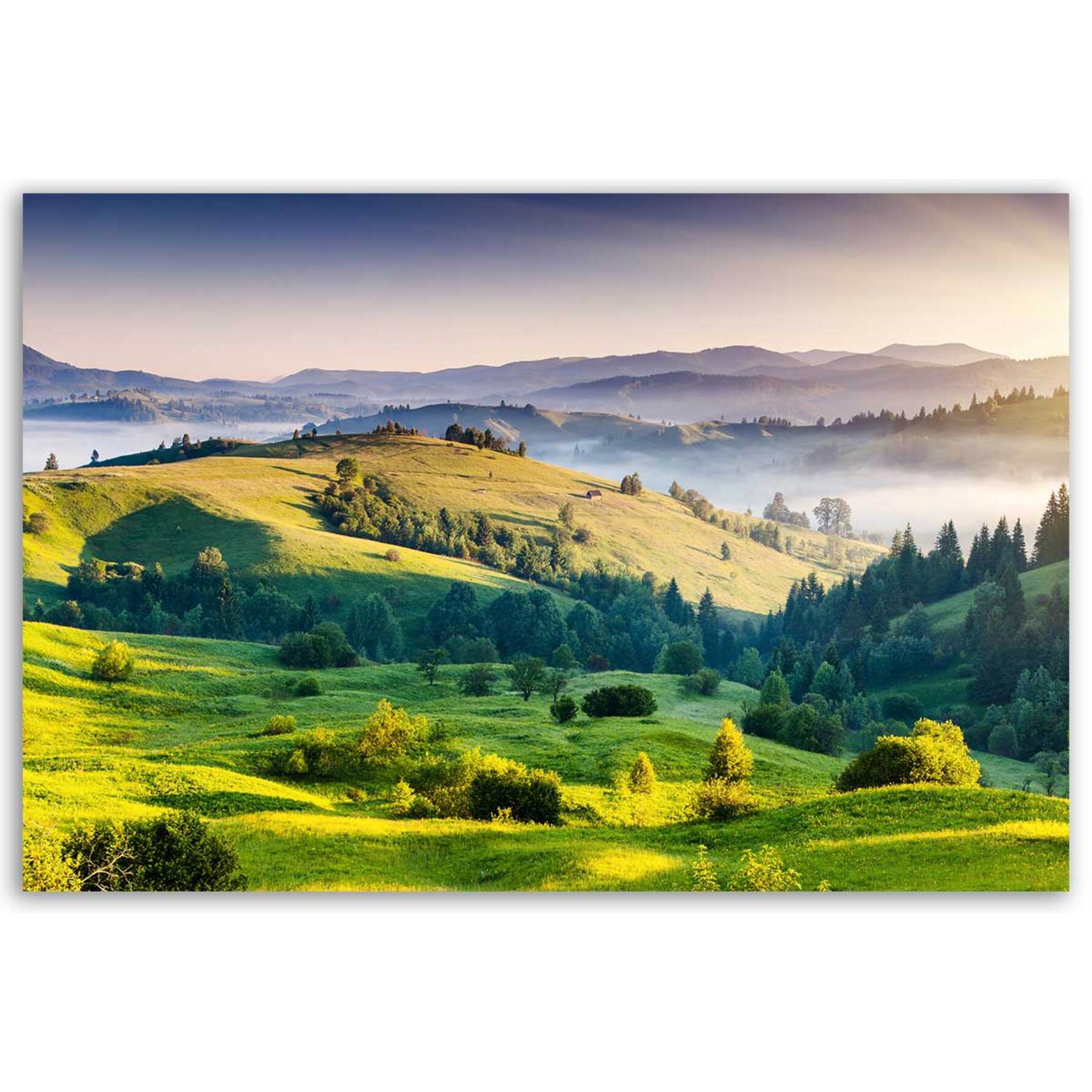 Tableau paysage vallonné en lumière dorée Toile imprimée