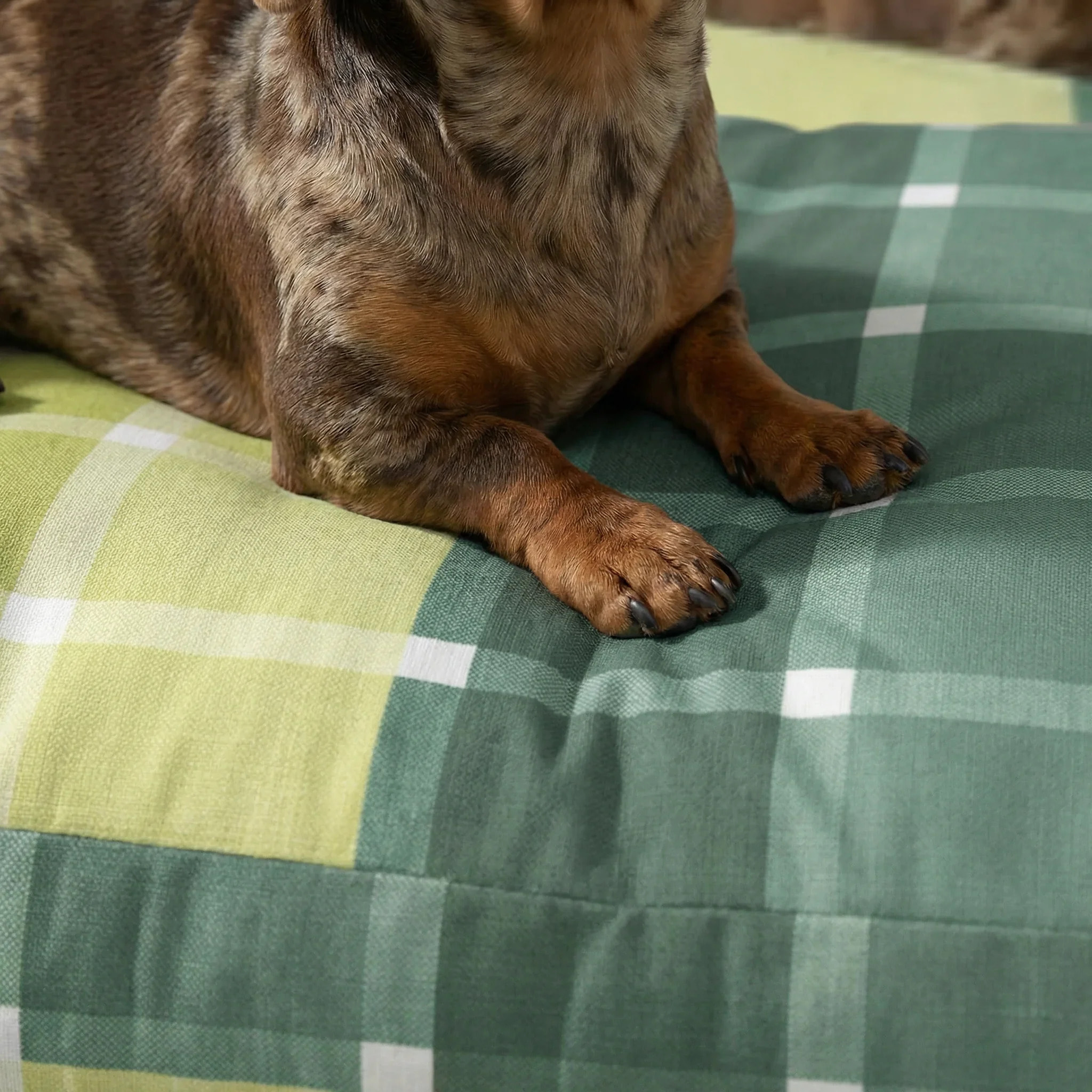 Lit pour animaux antitaches Sutton Esmeralda