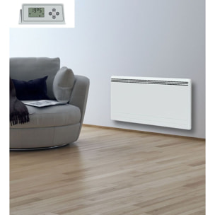 Radiateur inertie fonte 2000w