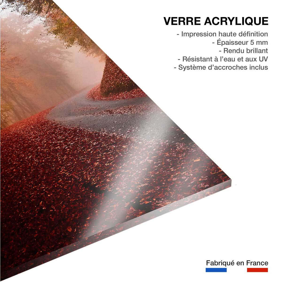 Tableau nature explosion automnale Tableau plexiglas