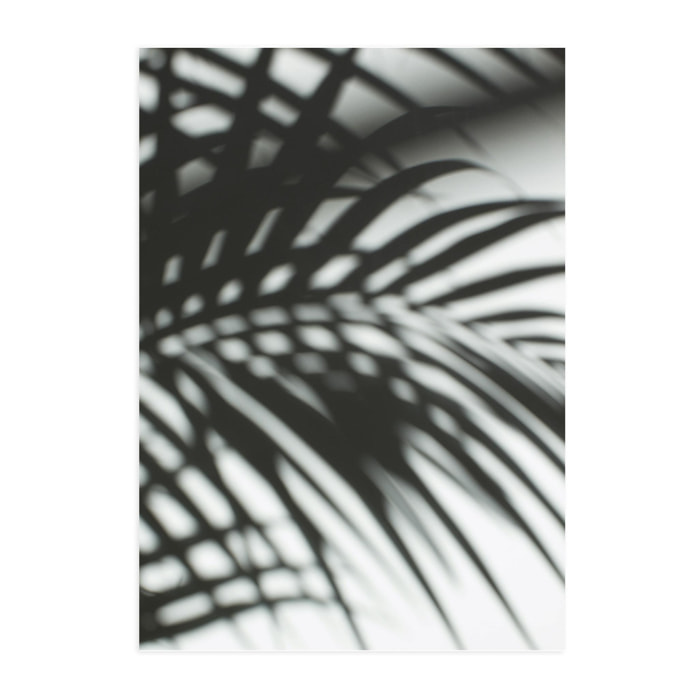 Poster Palm