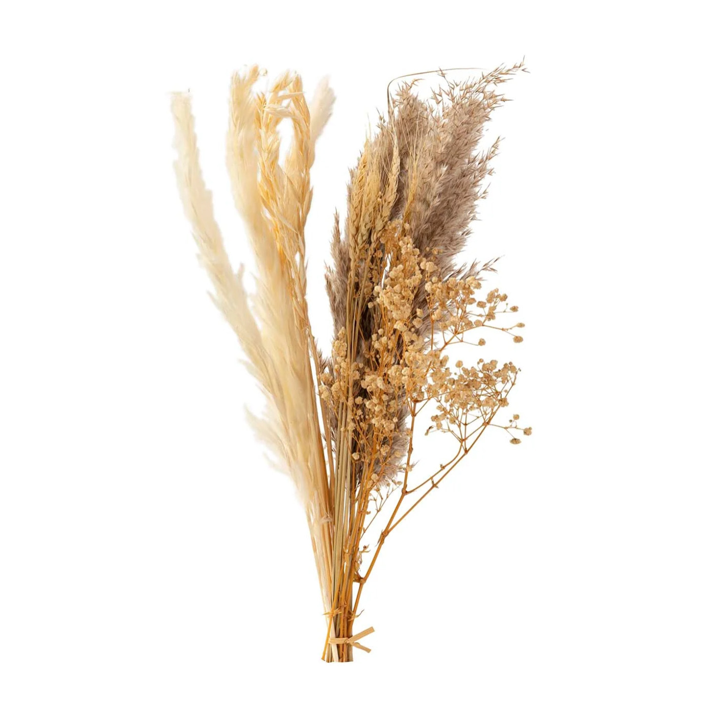 Bouquet Flores Silverestres Preservadas 26x15x43cm