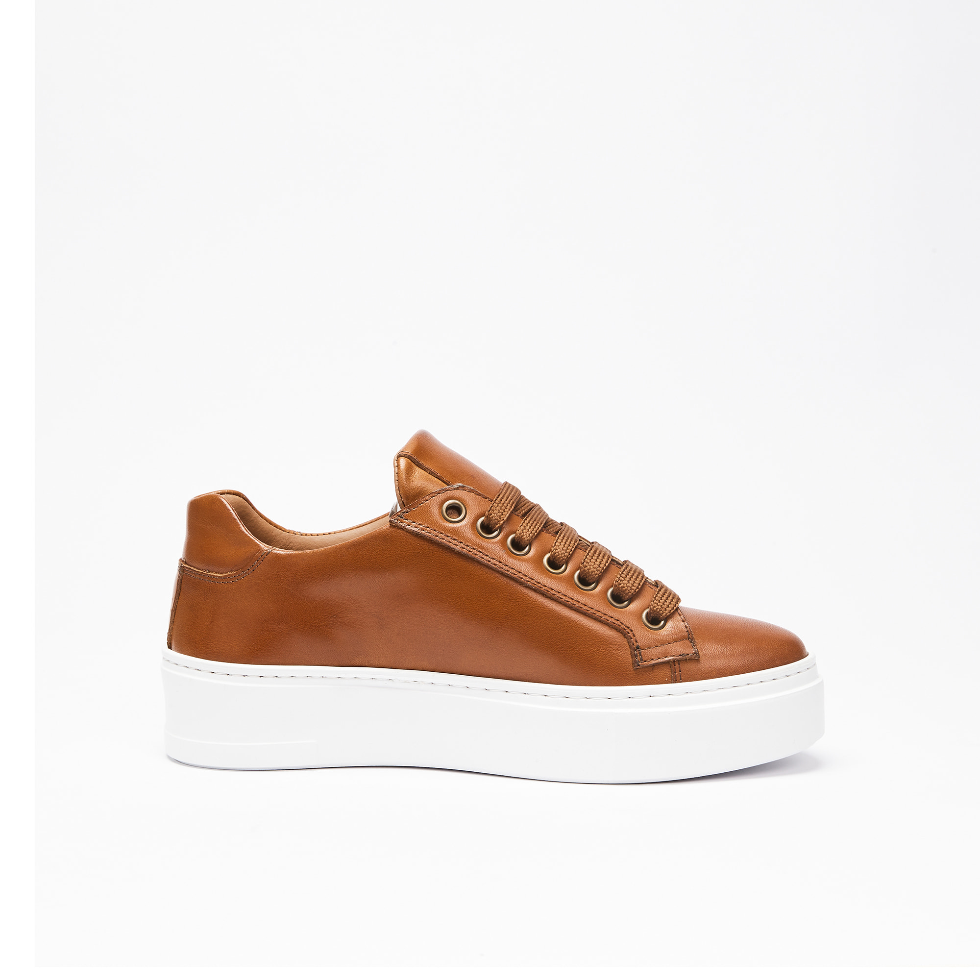 Classic Lace-up Sneaker British Passport Marrone