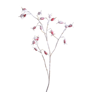 Ramo - Pezzi 12 - 20xH77x18cm - Bianchi Dino SpA