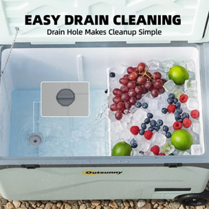 Glacière électrique compression 12V 240V - contrôle application roues - 42,5L - vert