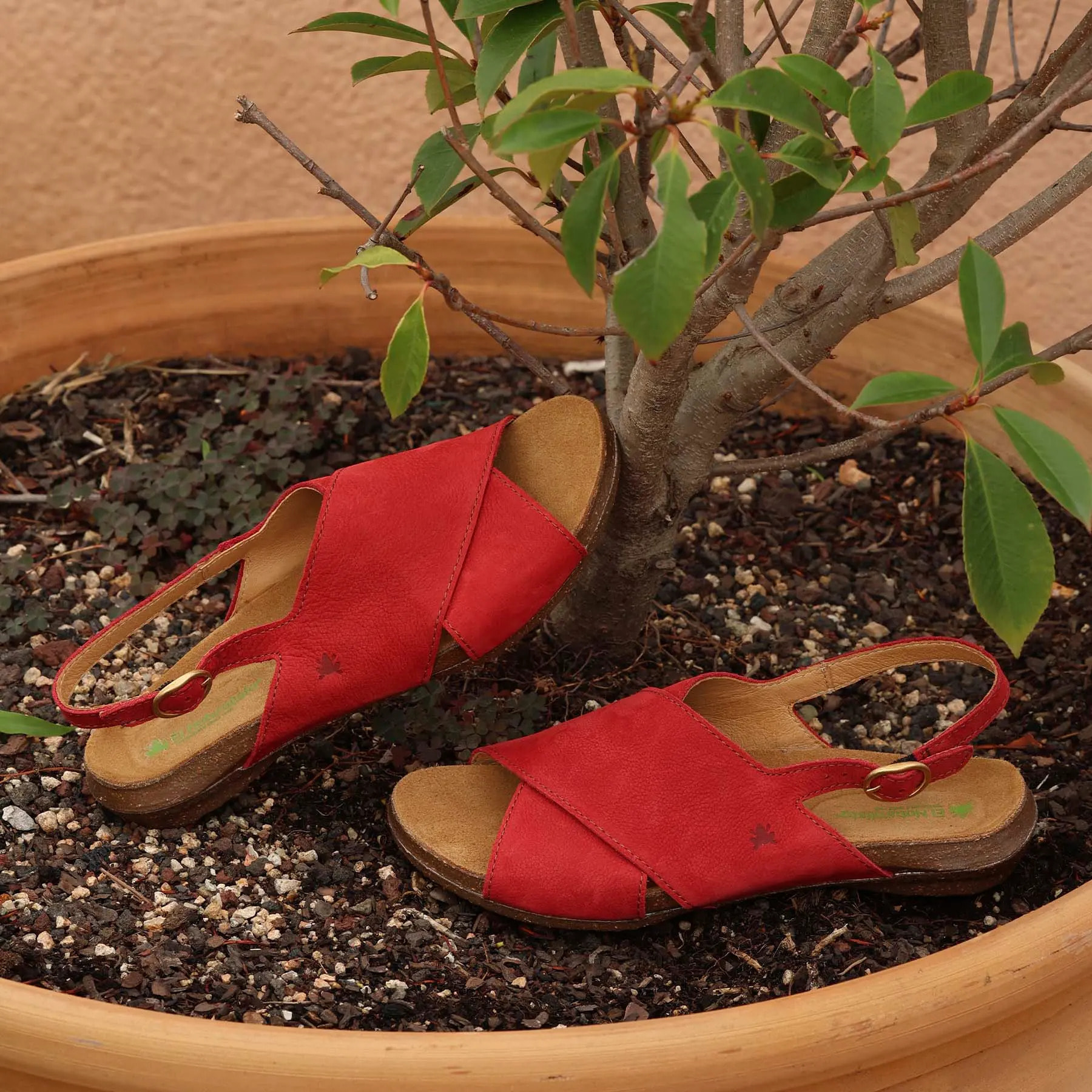 Sandalias N5558 NOBUCK LAVADO CUERO / WAKATAUA color Cuero