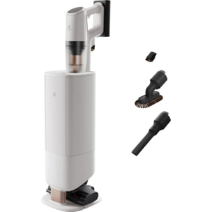 Aspirateur balai ELECTROLUX EP83UB25SH 800
