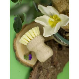 Set de 2 brosses à légumes en bois Fackelmann Nature FSC