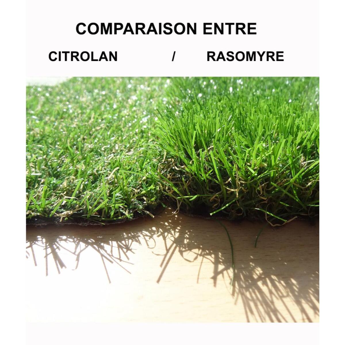 Tapis d'extérieur CITROLAN Vert 200x400 Fait en Europe en polypropylène doux et soyeux