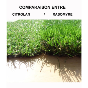 Tapis d'extérieur CITROLAN Vert 200x400 Fait en Europe en polypropylène doux et soyeux