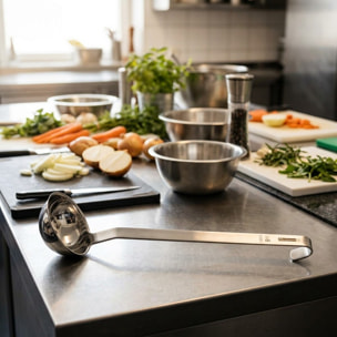 Louche de cuisine inox 39 cm FM Professional Divers