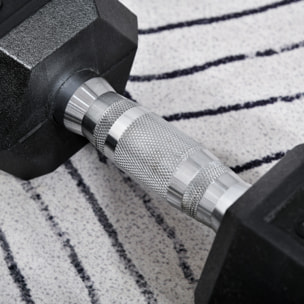 Juego de Mancuernas de 10kg con Barra de Conexión Metálica y Cabeza Hexagonal Juego de Pesas 20kg Total para Entrenamiento en Casa Gimnasio Oficina Negro y Plata