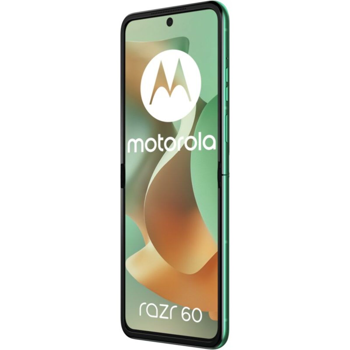 Smartphone MOTOROLA Razr 60 256Go Vert