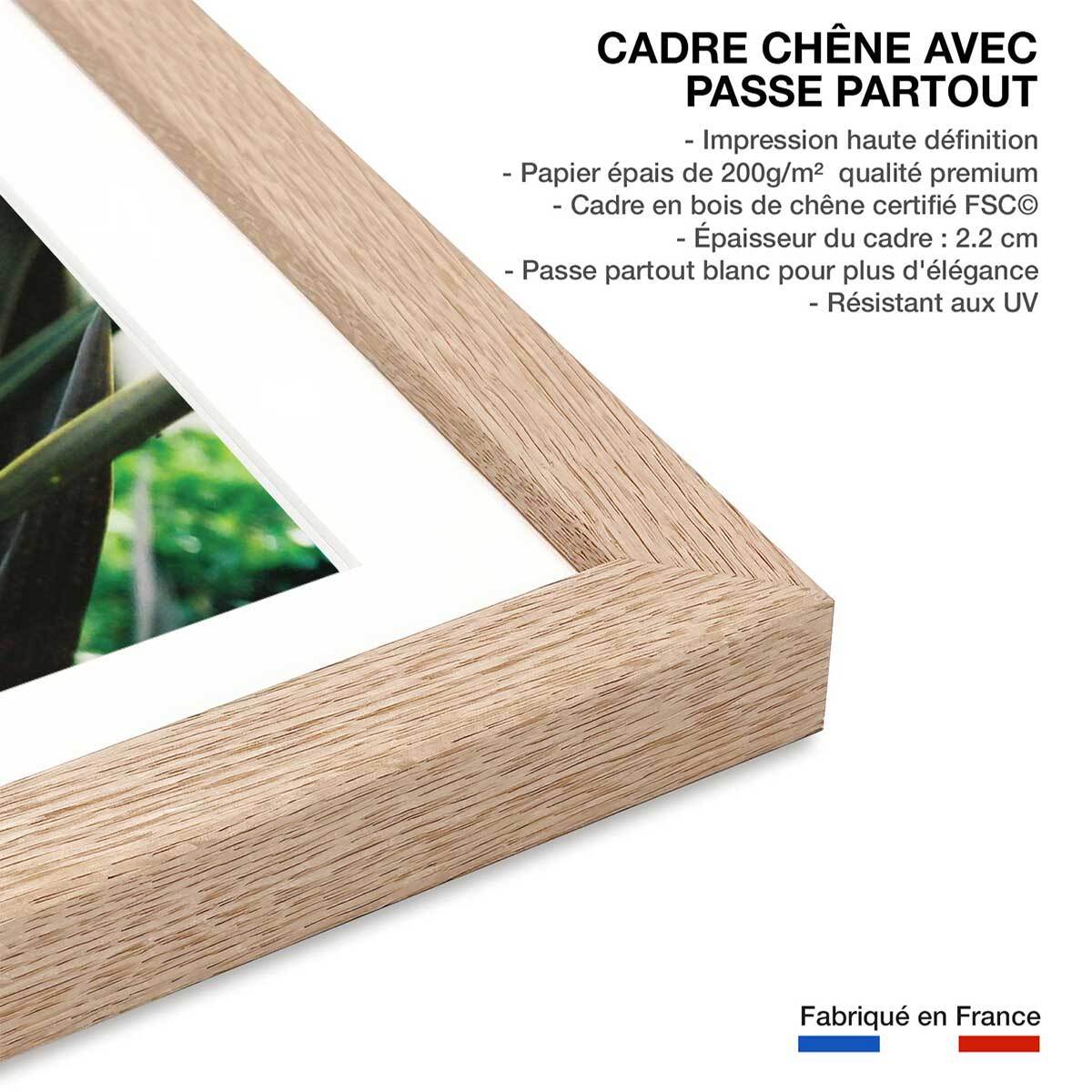 Affiche fleur de yucca et forêt tropicale Affiche + cadre en bois - Chêne