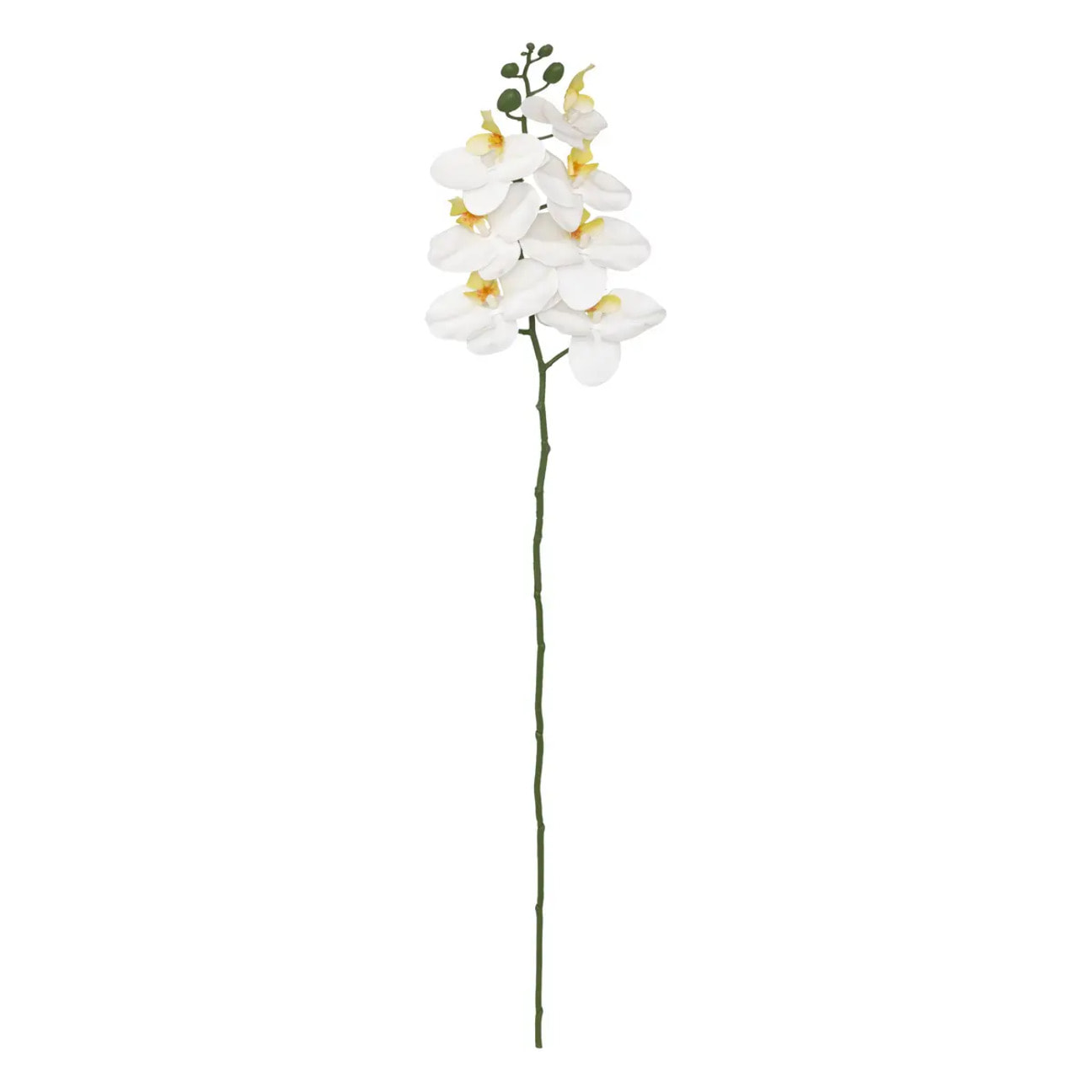 Tige d'orchidée artificielle "Gisele" H95cm