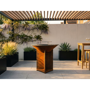 Barbecue brasero avec plaque d'acier de 100 cm