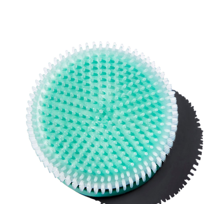 le Disque - Cleansing Tool