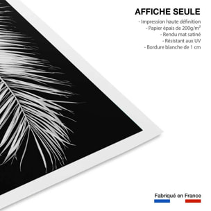 Poster palme x Affiche seule