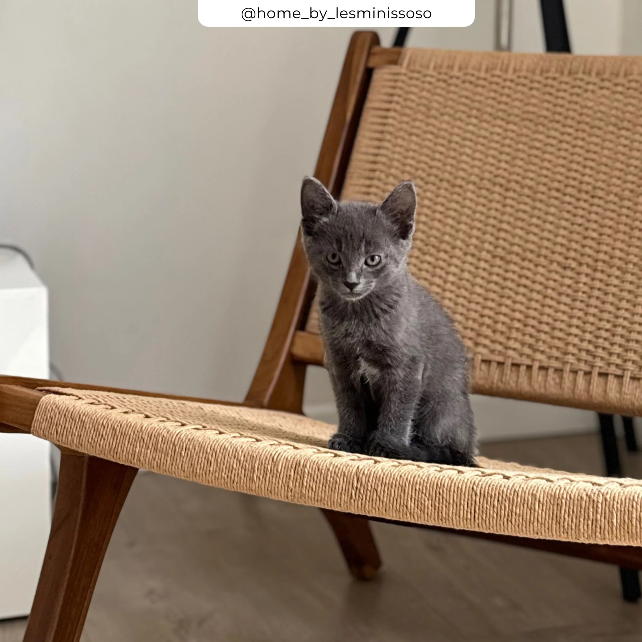 Fauteuil Kilka en bois de teck et cordage en loom - Kilka