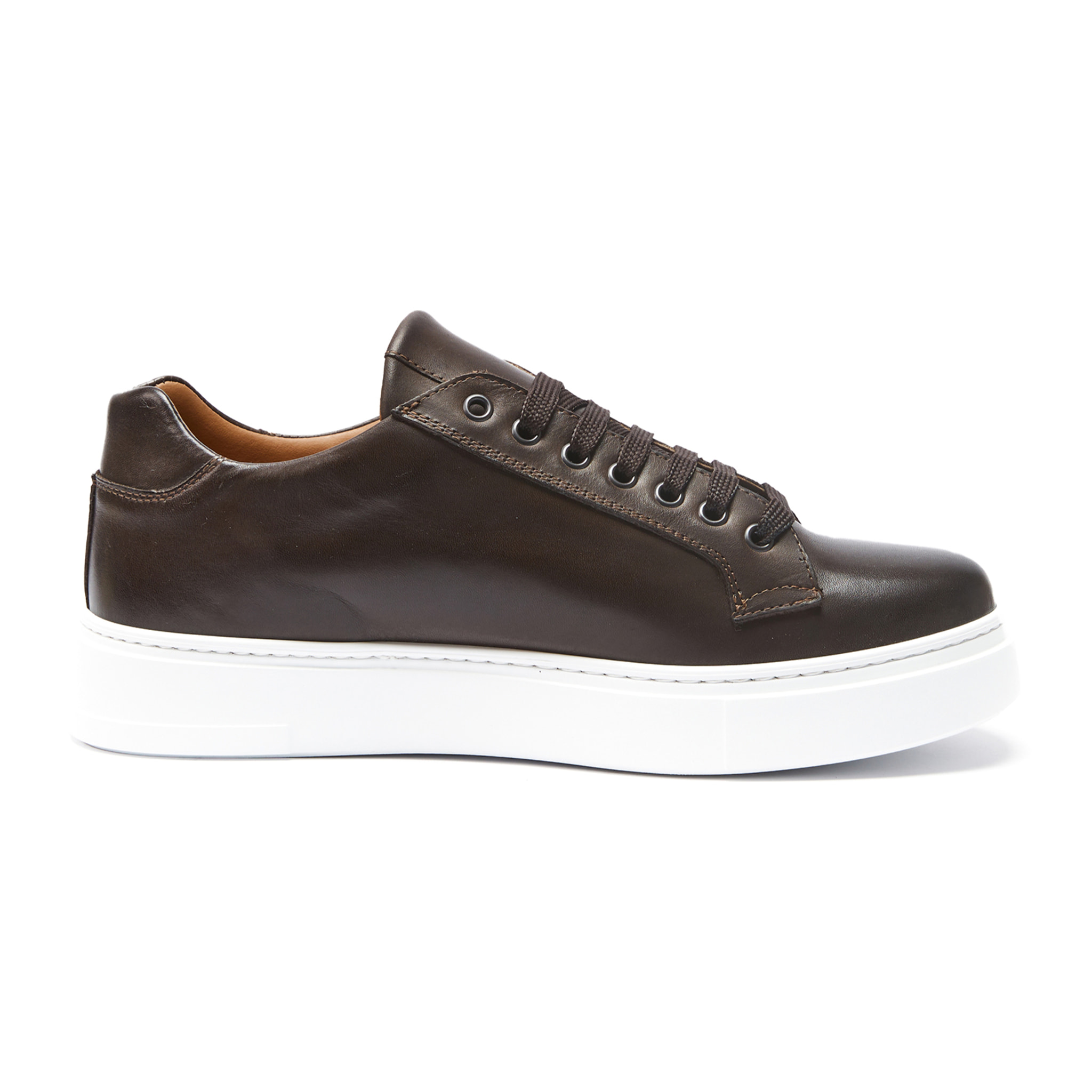 Classic Lace-up Sneaker British Passport Testa di moro