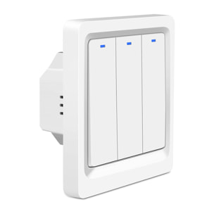 Wi-Fi Smart Wall Switch con telecomando e timer, compatibile con Alexa e Google Home