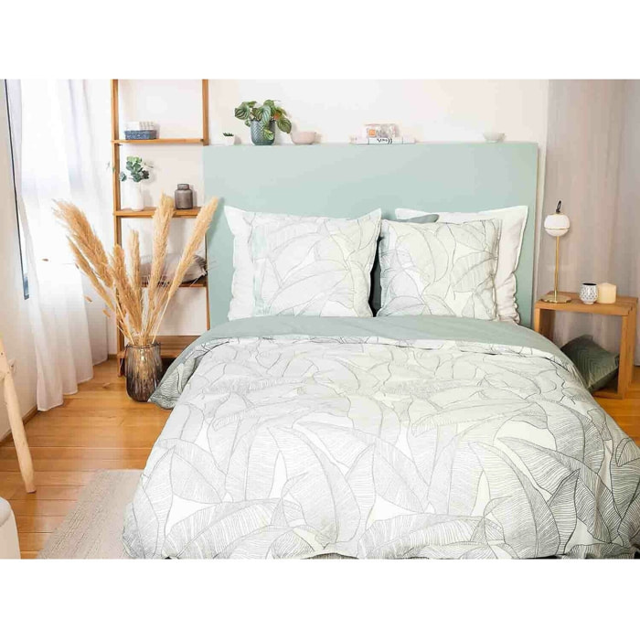 Parure Housse De Couette 3pcs 100% Coton Lave 57 Fils Pampelune