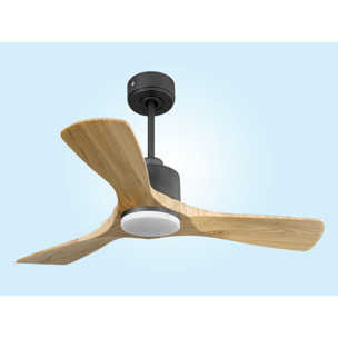 Ventilador de techo Reversible Termostato Dimable Wifi Motor DC Techos Inclinados Mando a Distancia Luz tres tonos Hypersilence Memoria RarotongaD106C03LED67826 PURLINE