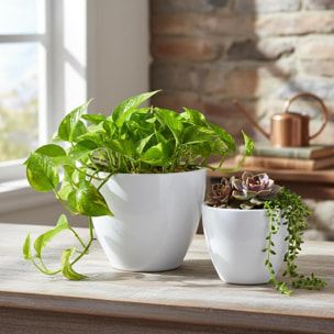 Set 2 cachepot - 15xH13x15cm - Pezzi 2 - Bianchi Dino SpA