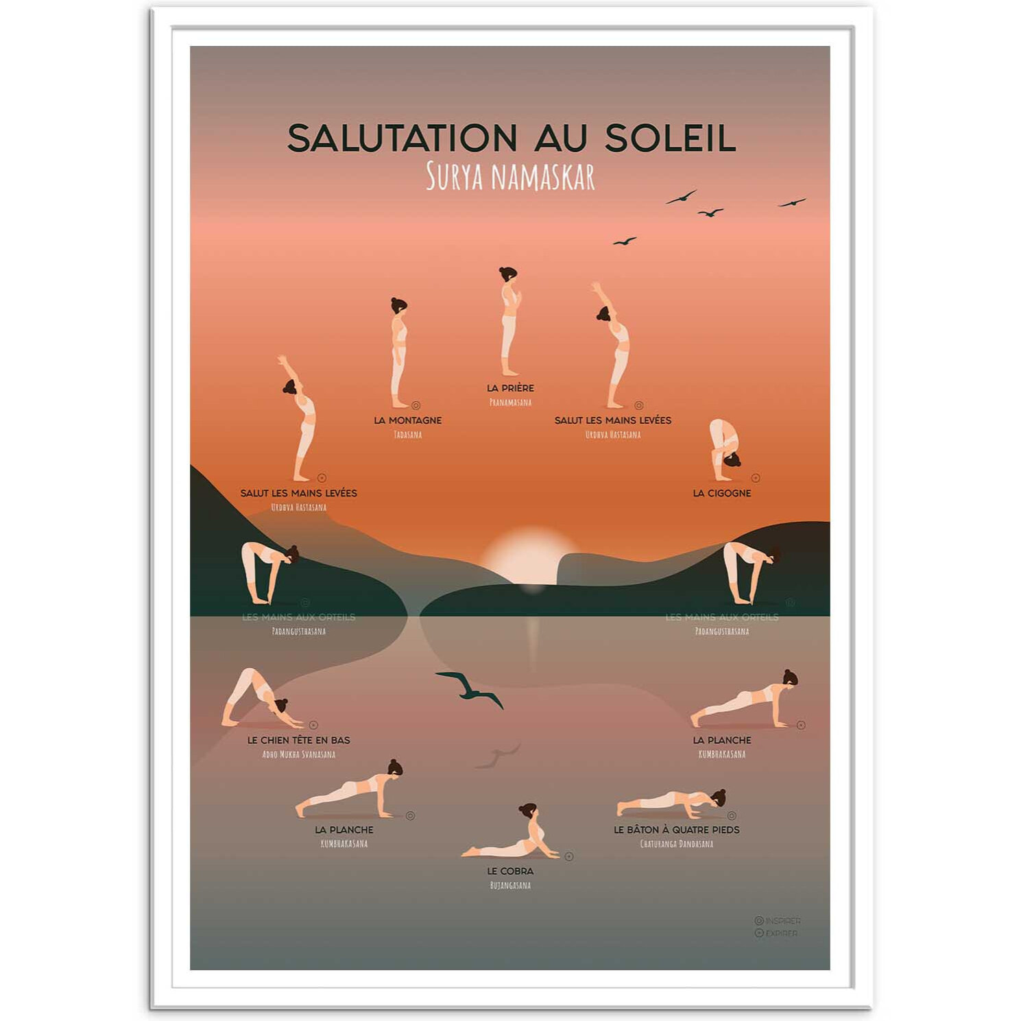 Affiche - Yoga Salutation au soleil - Frog Posters