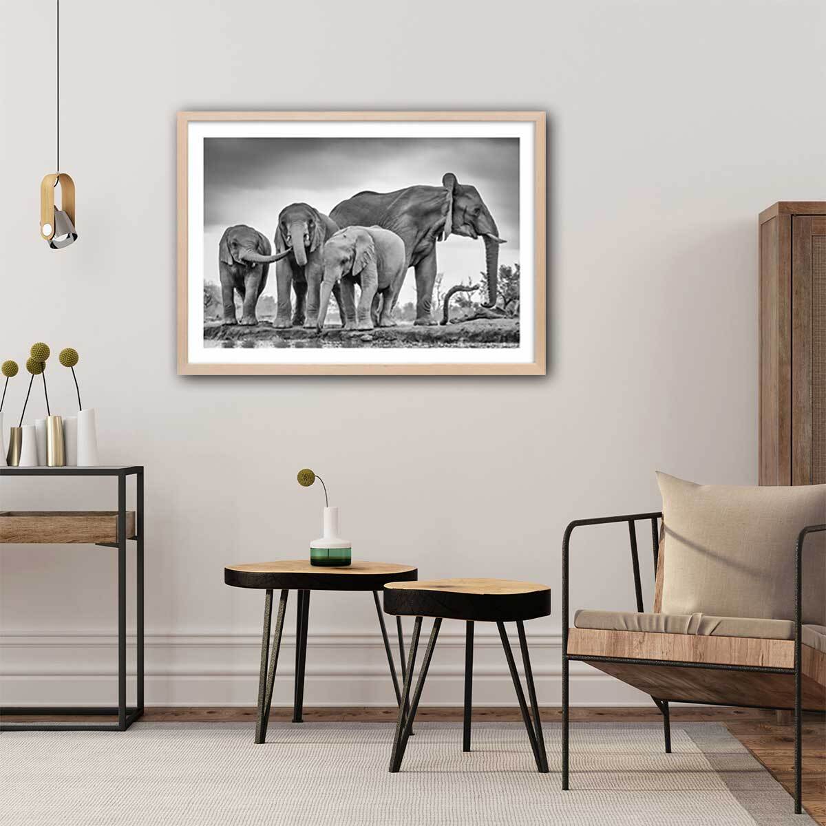 Affiche animaux bataille d'eau Affiche + cadre en bois - Chêne