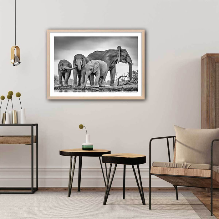 Affiche animaux bataille d'eau Affiche + cadre en bois - Chêne