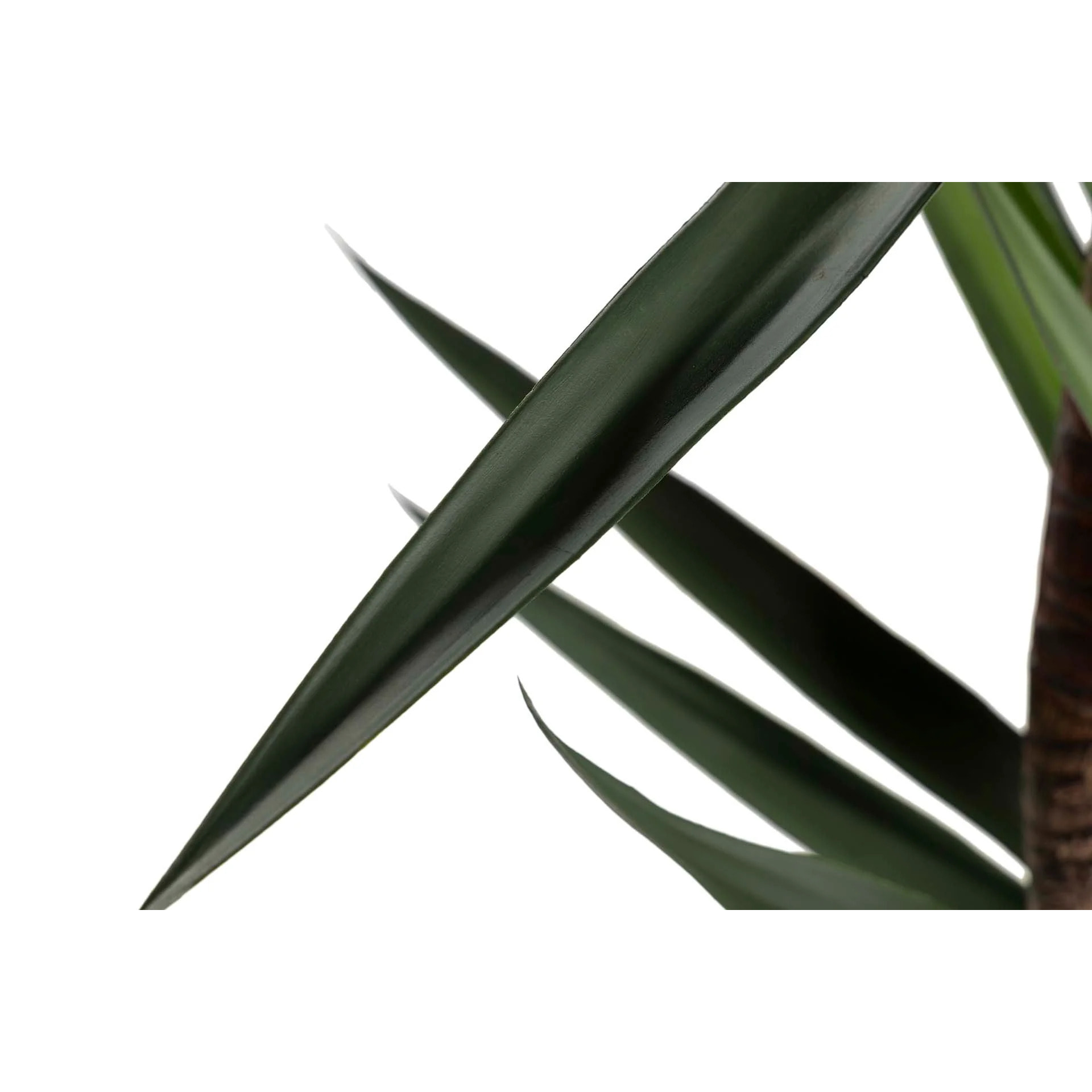 Planta Yucca 90x70x180 Cm