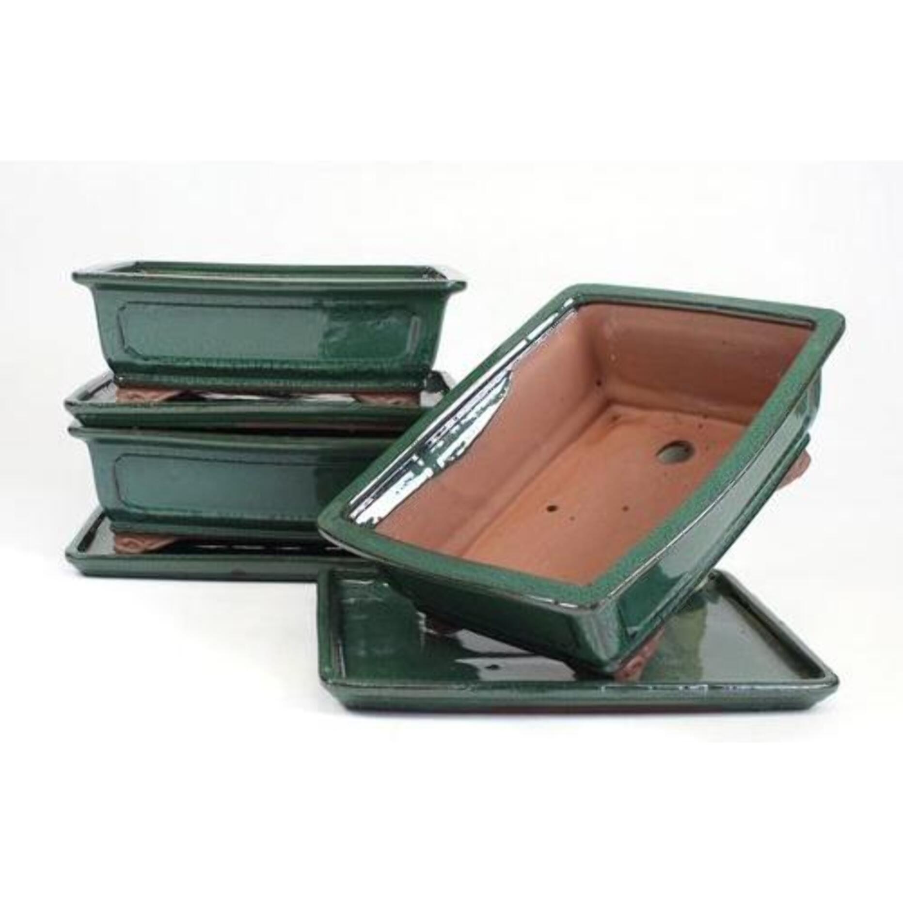 Tiesto bonsáis rectangular 25 cm con plato verde