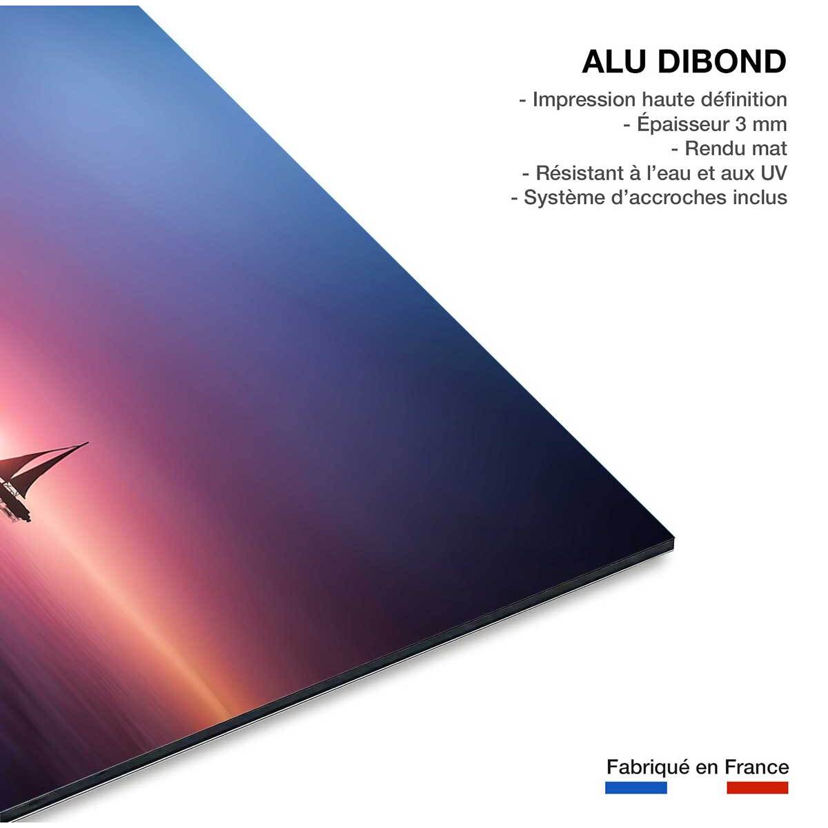 Tableau navigation sous le sunset Tableau alu Dibond
