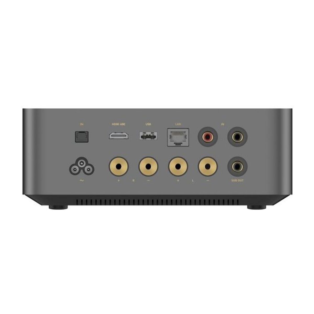 Amplificateur HiFi WIIM AMP ULTRA SPACE GREY