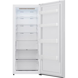 Congélateur armoire ESSENTIELB ECAVE170-70hib1