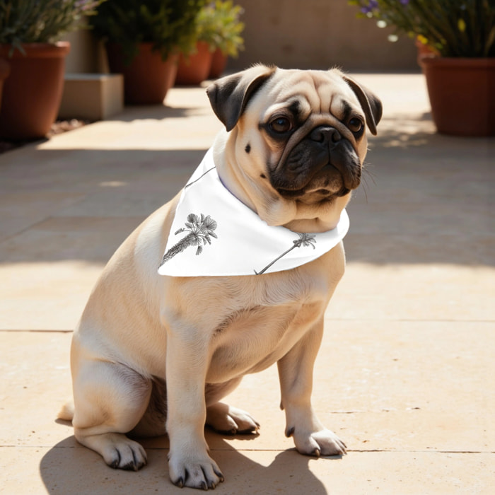 Pack de 2 bandanas pour animaux Xativa
