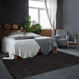 Tapis salon HINOU Noir 200x290 en polypropylène doux et soyeux