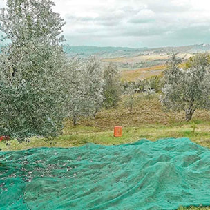 Rete antispina per raccolta olive 85 gr/mq - teli di varie dimensioni (6x6 mt - con apertura)