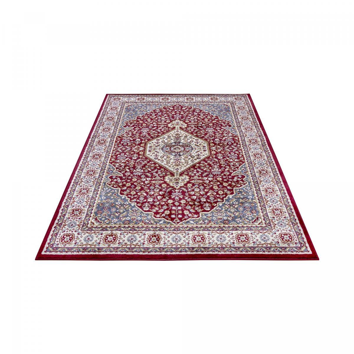 Tapis salon Rectangulaire Oriental