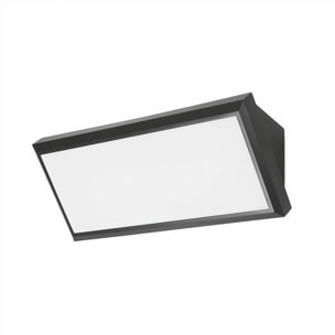 Forlight Aplique Ip65 Samper Led 10,5W 3000K Negro 615Lm