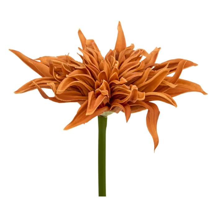 Tige décorative Homy H.55cm