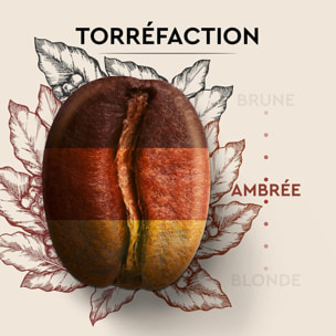 Café Grains Cuvée de caractère - 500G