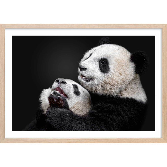 Affiche enfant pandas  Affiche + cadre en bois - Chêne