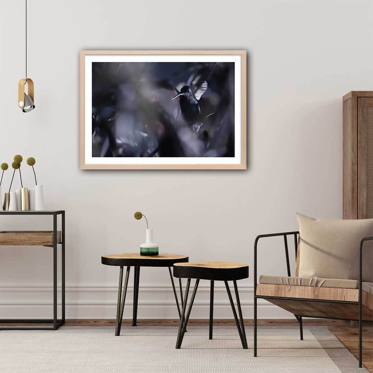 Poster animaux La petite étoile d' equateur Affiche + cadre en bois - Chêne